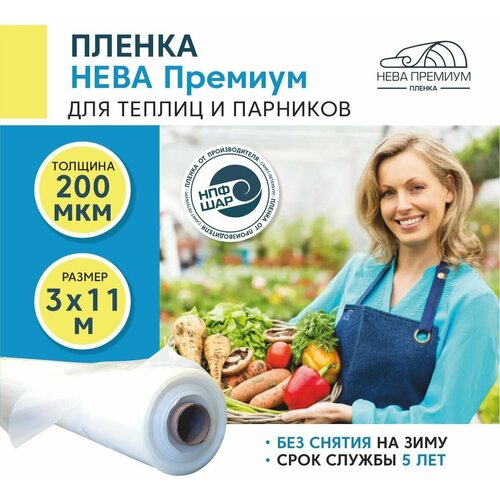 ���� ������ ��� ������ � �������� ���� ������� 200 ���, 3�11 �, ������ �� 4670 ���