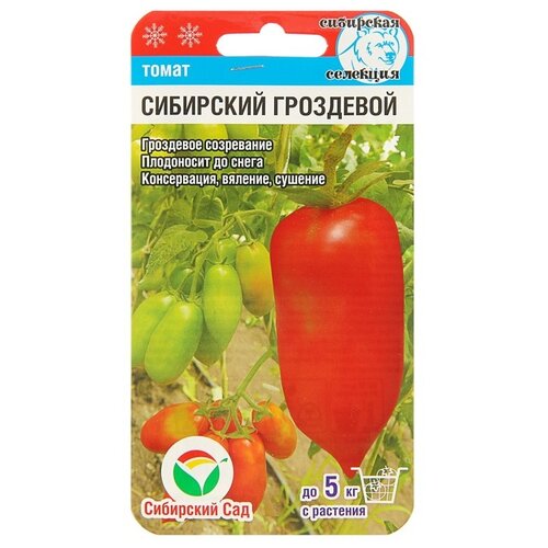 ���� ������ ����� ��������� ��������� 20�� ��� ������ (��������� ���), ������ �� 57 ���