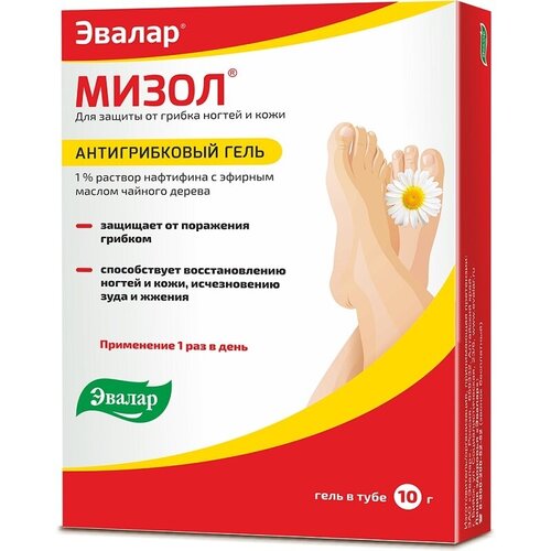 ���� ����� ����, 10 �, 10 ��, ������ �� 320 ���