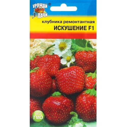 ���� ������ �������� ������������ 