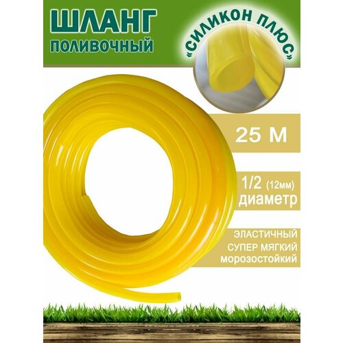 ���� ����� ������� ������������� 