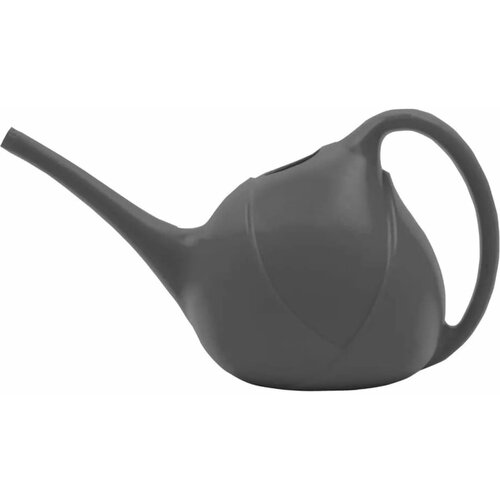 ���� ����� 