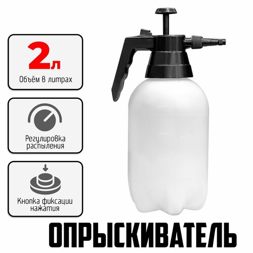 ���� ����������� ��� �����������, ������ � ���� (��������,2 �����) � ������������ ���������, ������ �� 673 ���