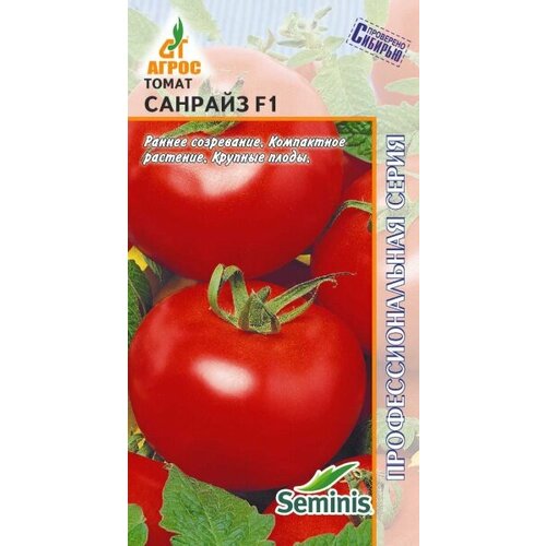 ���� ������ ����� ������� F1 10�� ��� ������ (�����), ������ �� 74 ���