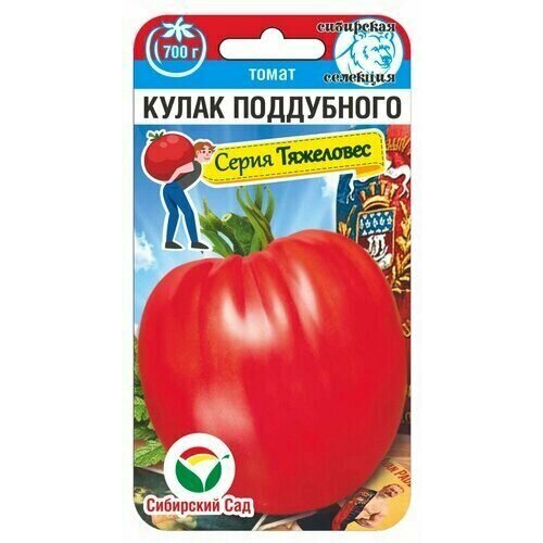 ���� ������ ����� ����� ���������� 20�� ����� (��������� ���), ������ �� 249 ���