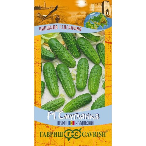 ���� ������ ������ ��������� F1 10�� ������������������ ������ (������), ������ �� 44 ���