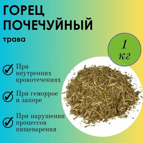 ���� ����� ���������� ����-�������� - ����� �� ��������, ������� ������� 1��, ������ �� 1480 ���