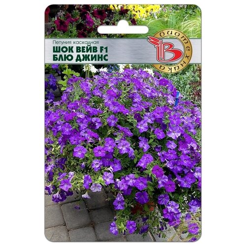 ���� ������ ������� ��������� 