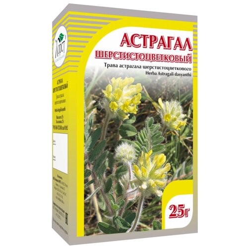 ���� ����� ����� �������� ������������������, 35 �, ������ �� 330 ���