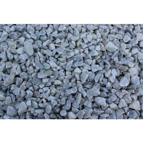    10-20     25 ,   1557 