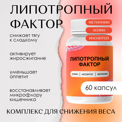 ���� ����������� ������ ���������, ������ �� 420 ���