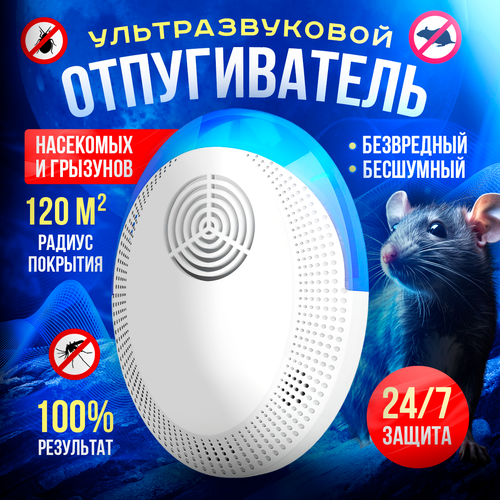 ���� ������������ ����� � ���� ��������������, ������������ ���������, ������ �� 739 ���