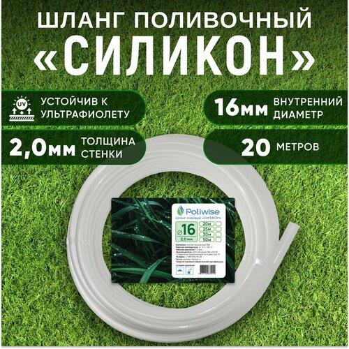 ���� ����� ��� ������ 