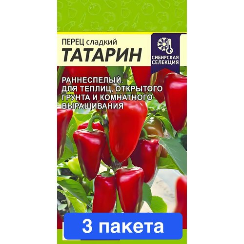 ���� ������ ������ ������ ����� 