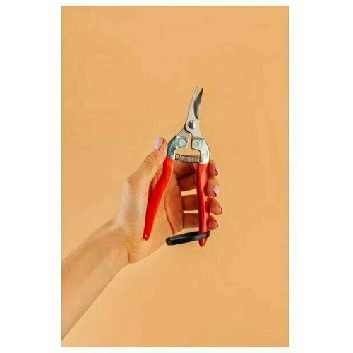 ���� ������� ��� ������, ������ �� 180 ���