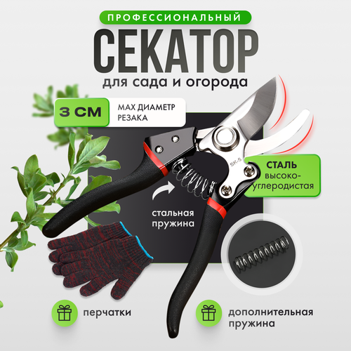 ���� ������������� ���������������� ������� ������� ������� ������� ��� ���� � �������, ������ �� 750 ���