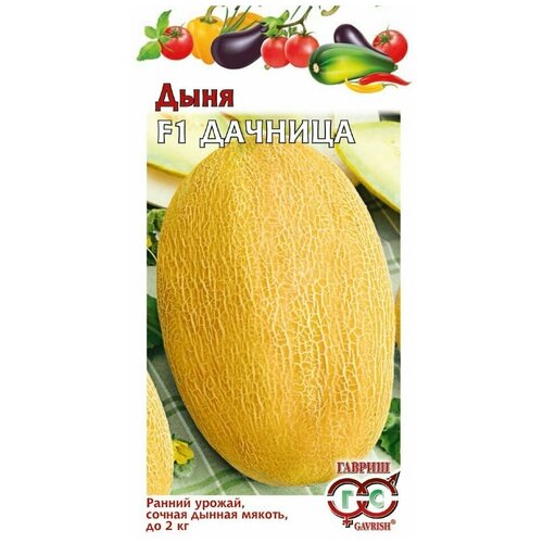 ���� ������. ���� 