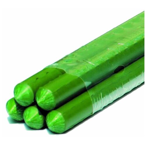  Green Apple GCSP-11-120 GREEN APPLE     120 ? 11 ( 5 )   -     , -, 