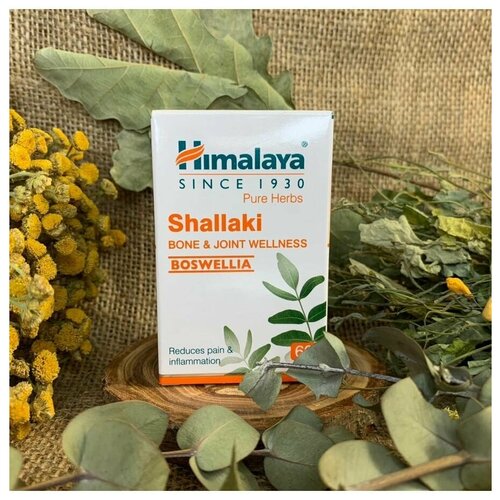 ���� Shallaki (�������, ������) Himalaya (�������) ������ ����� � ������ � ��������, ��� ������� � ����������, 60 ���., ������ �� 503 ���