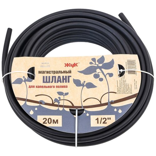 ���� ����� ������������� ��� ���������� ������ 