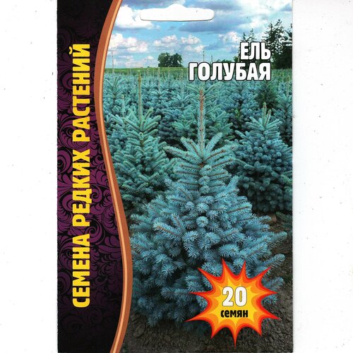   ,   ( 1 : 20  ),   310 