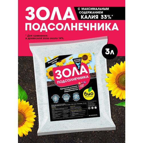 ���� ���-�������� / ������������ �������� ��������� ���� ������������� 3�, ������ �� 370 ���