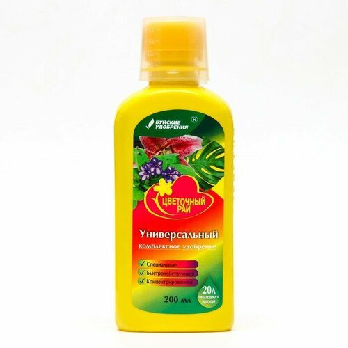 ���� ������ ����������� ��������� 