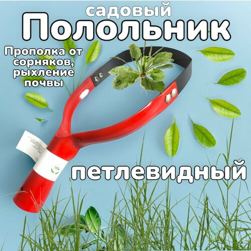 ���� ��������� ��-1, �������-���� , �����������, �������������, ��� �������, 28��, ������ �� 564 ���