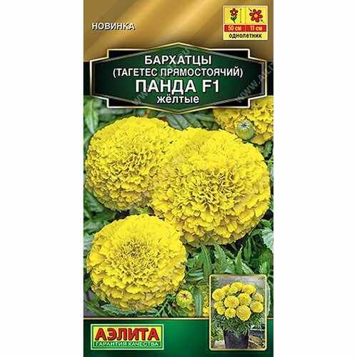 ���� ������ �������� ����� F1 ������ ����, ����������, (������) 7�� ������� �����, ������ �� 52 ���