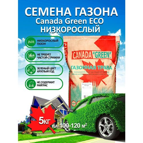 ���� �������� ����� ������ ������ ���� ����������� ECO 5 ��/ ������, �������� ������ ��� ������, ������ �� 4100 ���