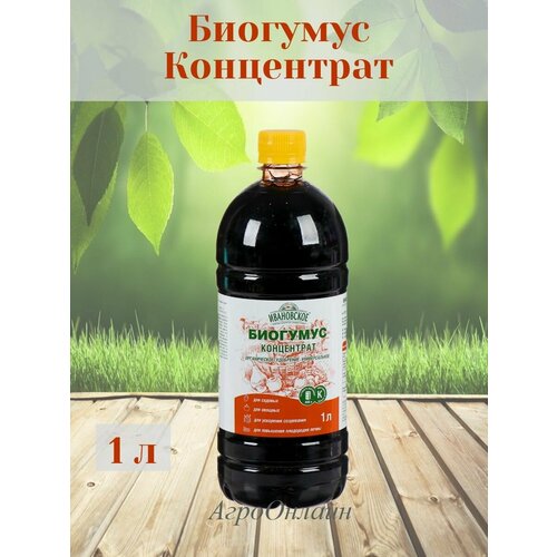 ���� ������������ ��������� �������� ������������� ���������� 1 �, ������ �� 419 ���