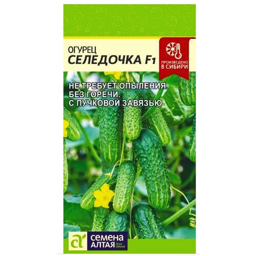 ���� ������ ������ 