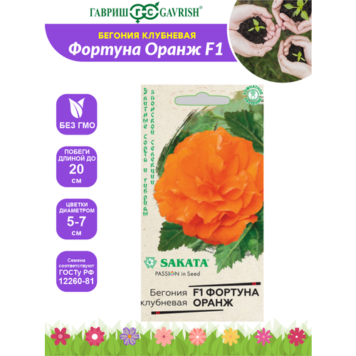 ���� ������ ������� ������� ����� F1 ������ ��������� 4 ��, ������ �� 295 ���