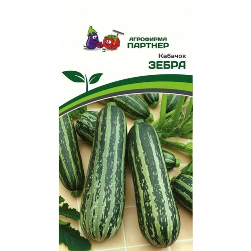 ���� ������ ������ ��������� ������� 