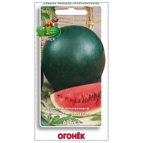     15  , , ,  /    ,   239 