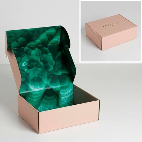 ���� ������ ������� ������� ���������� ������������� ��������, ��������, ��������, 27 � 21 � 9 ��, ������ �� 537 ���