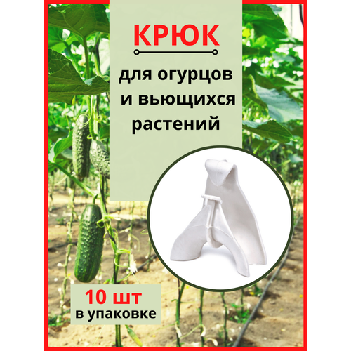 ���� ����������� ���������� ���� ��� ������� � �������� �������� 10 ��, ������ �� 389 ���