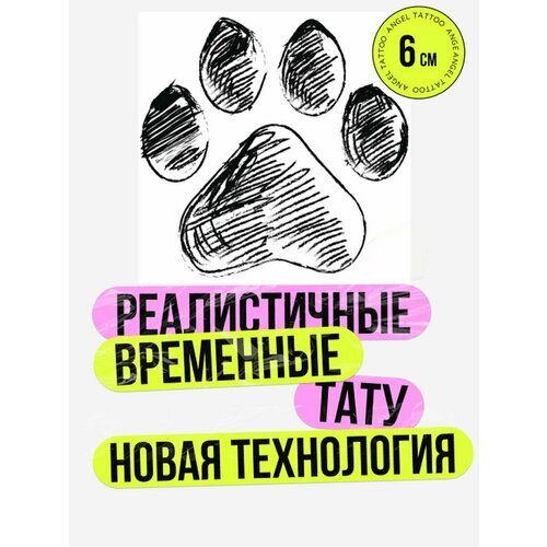 ���� ���� ���������� �������������� �������� �����, ������ �� 450 ���