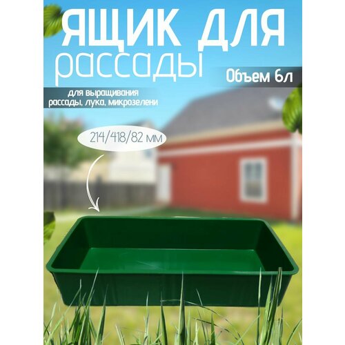 ���� ���� ��� �������, ������ ��� �������, ������ �� 365 ���