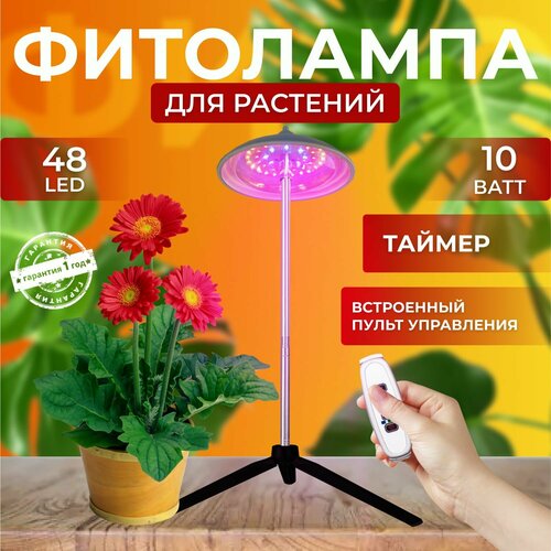 ���� ��������� ��� ����������� �������� ������� ������ ������ �������������� ������������ ��� ������, ����� ��������������� 48 LED, ������ �� 1950 ���