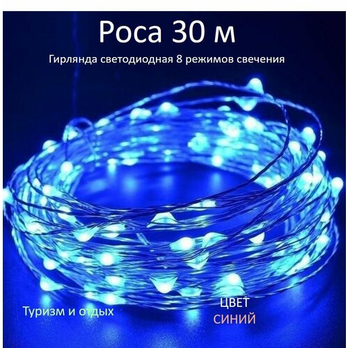 ���� �������� ���� 30 �, �����, ������ �� 599 ���