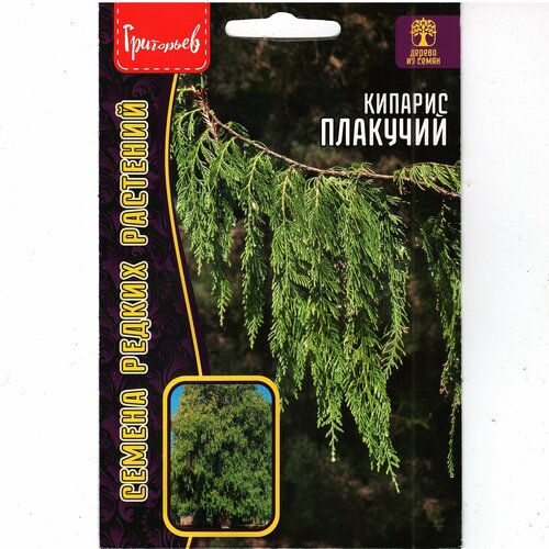 ���� ������� ��������, ������������ ������ ( 1 ��: 20 ����� ), ������ �� 189 ���