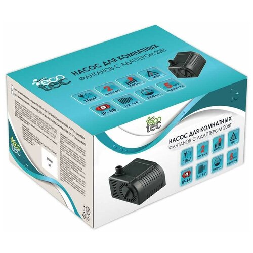 ���� ����� ��� ��������� �������� 