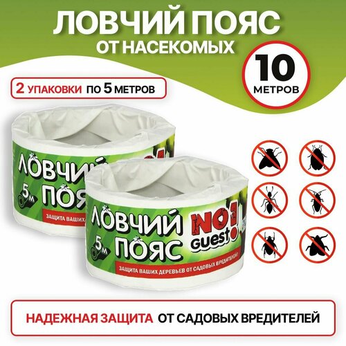 ���� NoGuest! ������ ���� ��� �������� �� ������� ����������, 10 ��, 170 �, 2��., ������ �� 588 ���