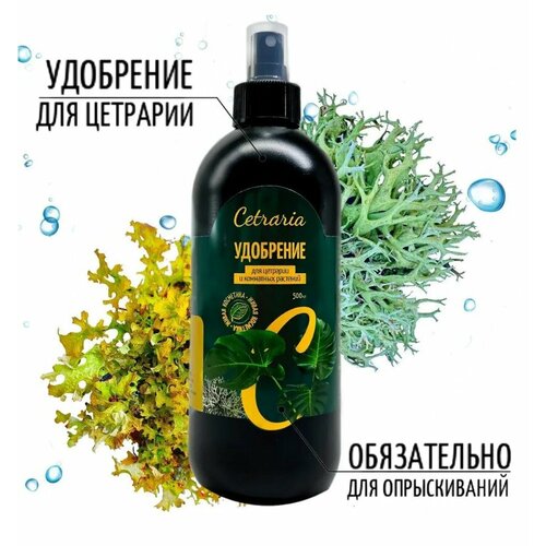 ���� ��������� Cetraria ��� ��������� ��������, ��������� ��� ����������� ��� 500 ��, ������ �� 800 ���