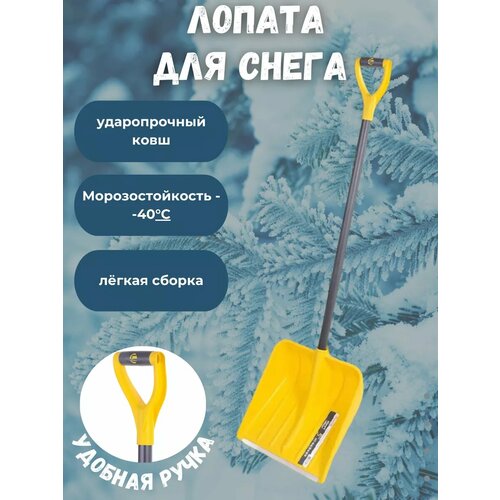 ���� ������ ��� ����� � �������� ������� ����, ������ �� 3099 ���