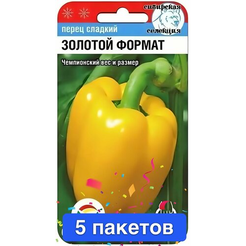 ���� ������ ������ ��������� ��� 