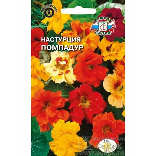 ���� ��������� 