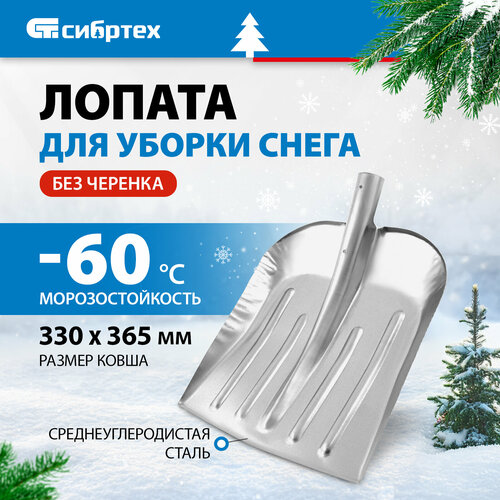      61536,  : 36.5x33 , : 36.5 ,   870 