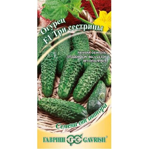 ���� ������ ������ ��� �������� F1 10�� ������������������ ������ (������) �����, ������ �� 80 ���